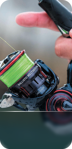 Reels