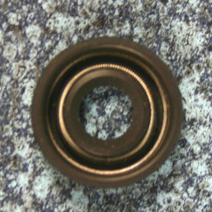 Image of : Raritan Replacement Motor Shaft Seal - 31-102 