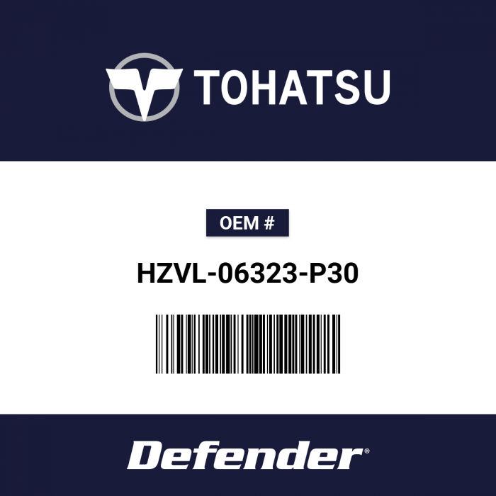 Tohatsu Panel Kit Key Switch (Twin) - HZVL-06323-P30 | Defender Marine